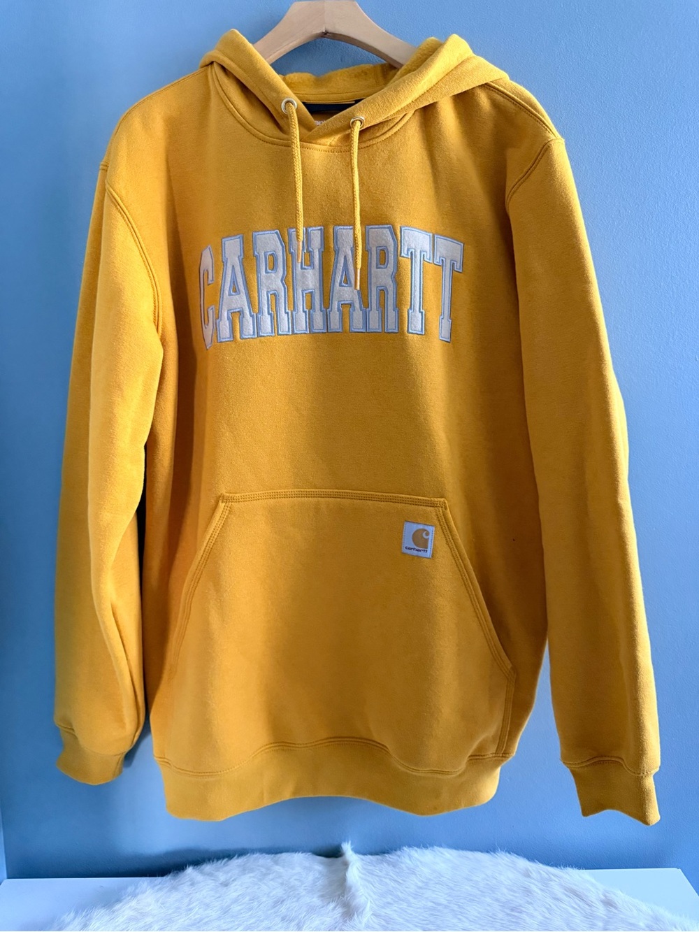 Carhartt Work In Progress Men’s Collegiate Hooded Sweatshirt